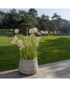 2 Pots ronds en fibre d'argile Faro sable