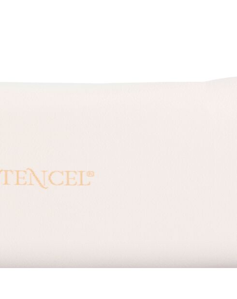 Oreiller viscoléastique Tencel beige - 75x34x14 cm