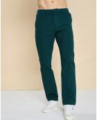 Pantaloni plissettati Diony fougère