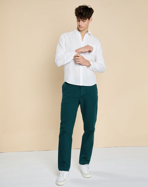 Pantaloni plissettati Diony fougère