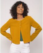 Gilet giallo Testi Uni
