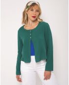 Gilet Testi Uni