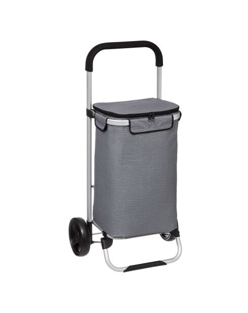 Chariot 2 roues Alu Fraîcheur 50L gris - 46x34x96 cm