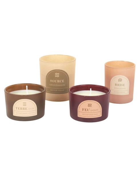 Set aus 4 Elements Duftkerzen Feige, Pfingstrose, Pfingstrose, Holznebel, Gewürze — 1 Docht 21:00