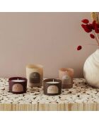 Coffret 4 bougies parfumées Elements Figue, pivoine, brume des bois, épices - 1 mèche 21h