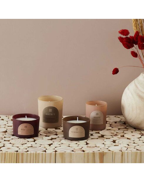 Set aus 4 Elements Duftkerzen Feige, Pfingstrose, Pfingstrose, Holznebel, Gewürze — 1 Docht 21:00