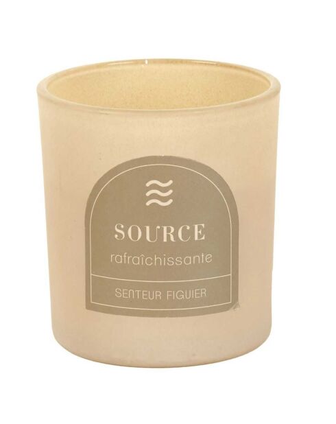 Set aus 4 Elements Duftkerzen Feige, Pfingstrose, Pfingstrose, Holznebel, Gewürze — 1 Docht 21:00