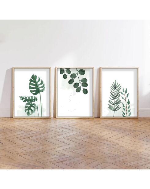 Peinture décorative encadrée 3 pièces Abstrait plante multicolore - 50x70 cm