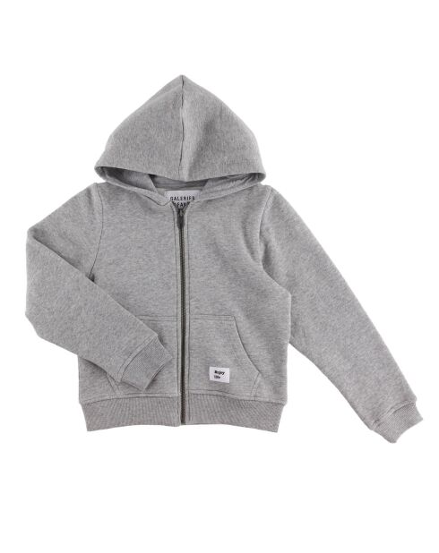 Sweat zippé Dave uni gris