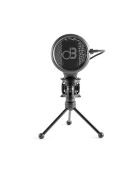 mic250 zwarte condensatormicrofoon voor studio