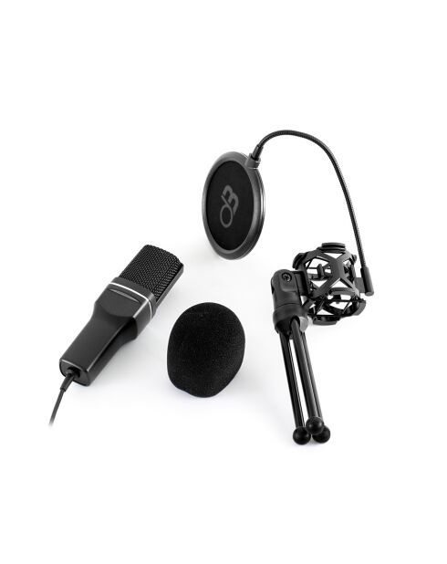 mic250 zwarte condensatormicrofoon voor studio