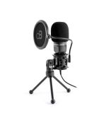 mic250 zwarte condensatormicrofoon voor studio