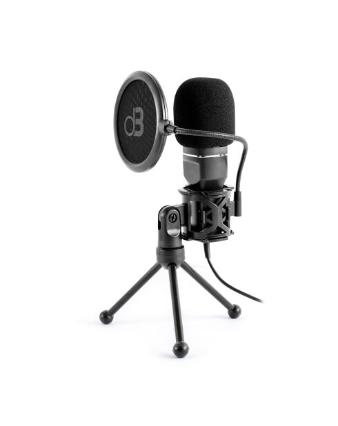 mic250 zwarte condensatormicrofoon voor studio