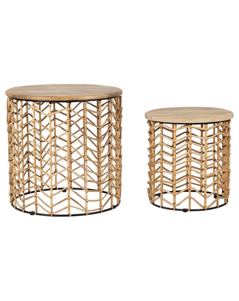 2 Tables d'appoint Monarque naturel
