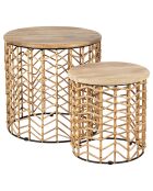 2 Tables d'appoint Monarque naturel