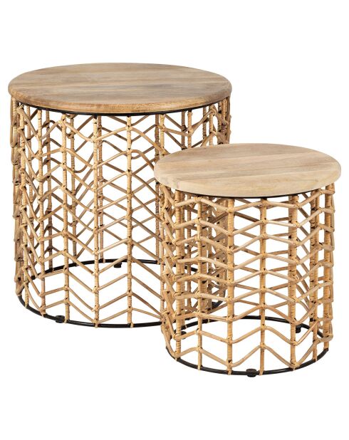 2 Tables d'appoint Monarque naturel