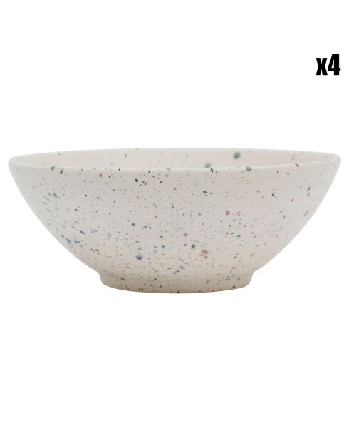 4 Bols Moucheté multicolores - 65cl