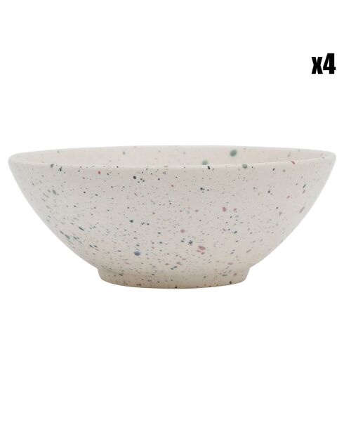 4 Bols Mouchetés multicolores - 25cl