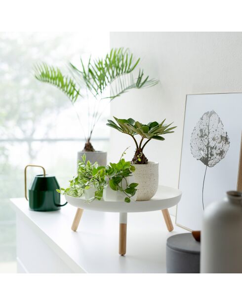 Plateau rond avec pieds Platine blanc - D.32 cm