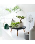 Plateau rond avec pieds Platine noir - D.32 cm