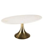 Table basse plateau marbre James marbré/doré - 100x56x43 cm