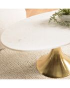 Table basse plateau marbre James marbré/doré - 100x56x43 cm