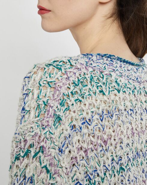 Pull en grosse maille Allen multicolore