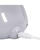 Lampe veilleuse hippopotame