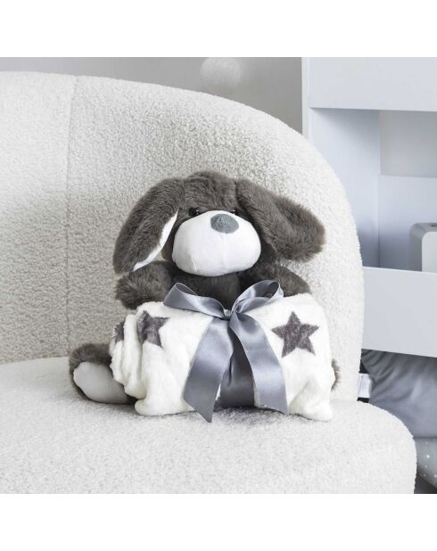 Cane in peluche 20 cm + plaid 70x70 cm