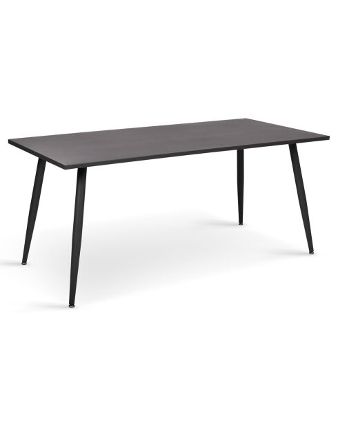 Table de jardin acier 180cm grise - 180x90x77 cm
