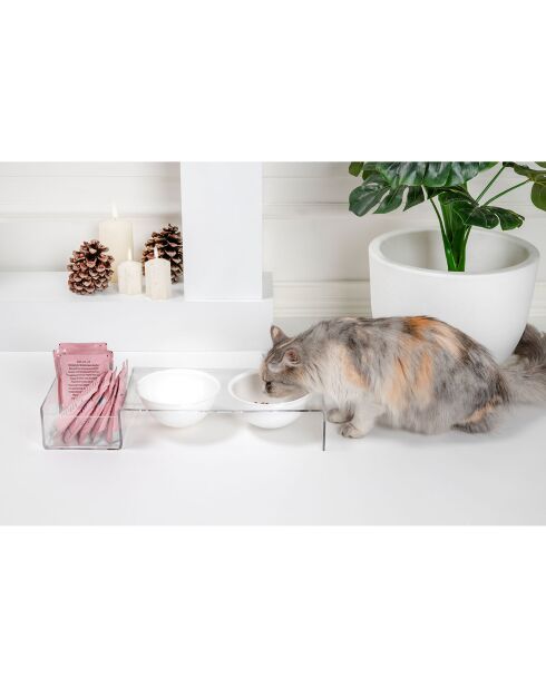 Gamelle pour animaux I-Pet transparent/blanc - 52x19x9 cm