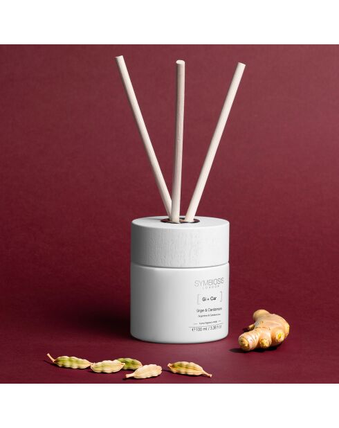 Parfum d'intérieur Gingembre + Cardamome - 100 ml