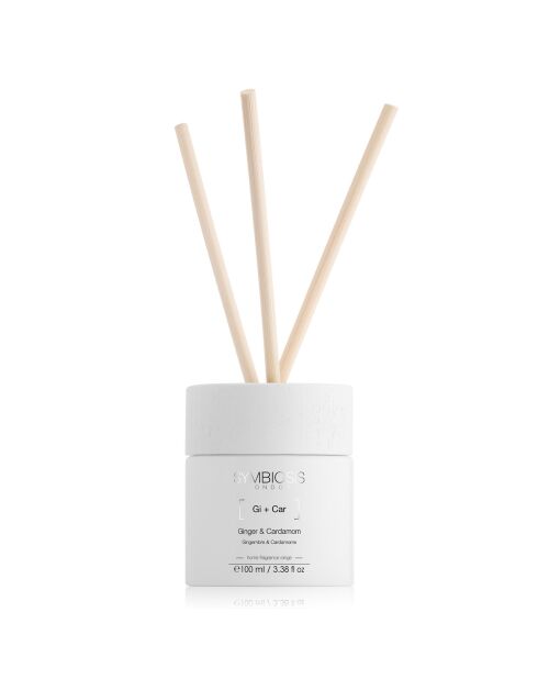 Parfum d'intérieur Gingembre + Cardamome - 100 ml