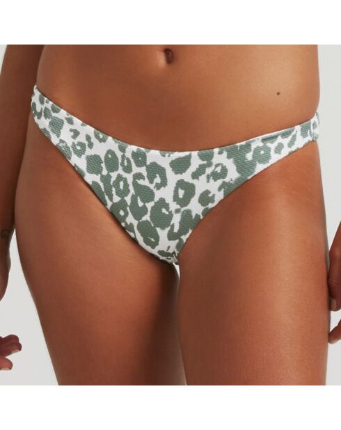 Bas de maillot de bain Safari gris