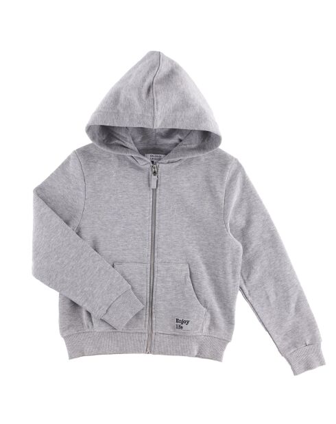 Sweat à capuche zippé Dave gris