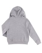 Sweat à capuche zippé Dave gris