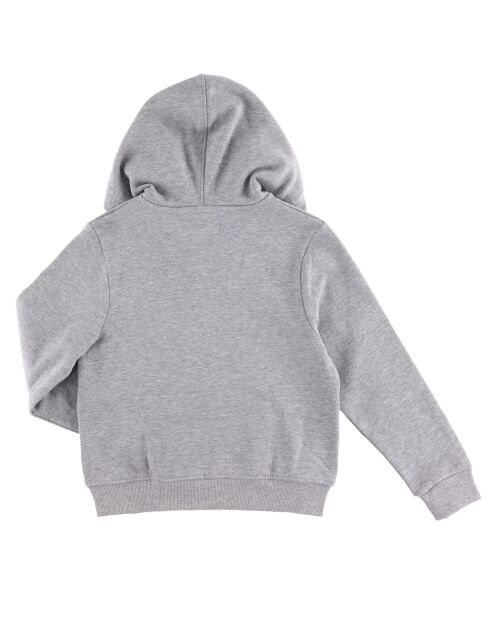 Sweat à capuche zippé Dave gris