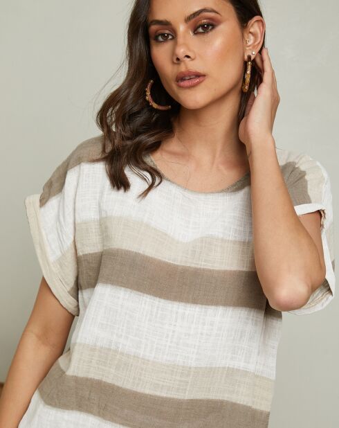 Spicea taupefarbenes Top