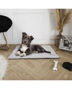 Tapis pour animaux gris - 85x63x4 cm
