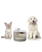 Fontaine pour chats rechargeable avec détecteur Refopet blanc/gris