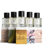 5 Eaux de Parfum Ultimate Scent Journey Collection : Parisian Embrace + Path of Lemons + Balade in Autumn + Le Marais + Oud Gaiac