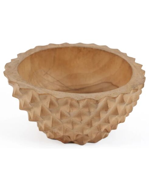 Bol en teck Durian naturelle - D.20 cm