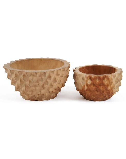 Bol en teck Durian naturelle - D.15 cm