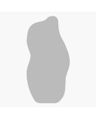 Miroir mural Ralia  sable -  70x175x2.2 cm