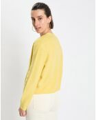 Gilet en Alpaga & Laine mélangés 3 Boutons jaune