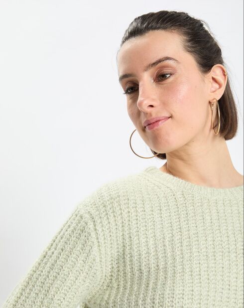 Pull en Coton, Laine & Alpaga mélangés Mouline vert clair