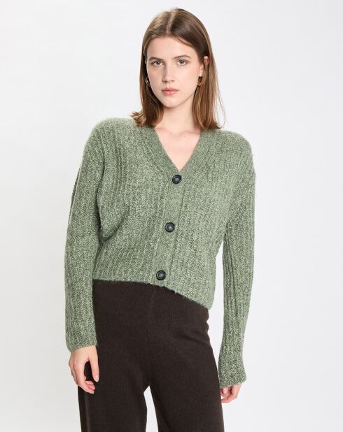 Gilet en Coton, Laine & Alpaga mélangés grosse maille chiné vert foncé