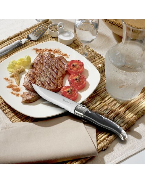 3 coltelli da cucina Tradition BBQ grigi