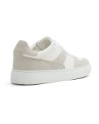 Sneakers Tim blanc/gris
