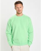 Sweat Col Rond Coudiere vert fluo